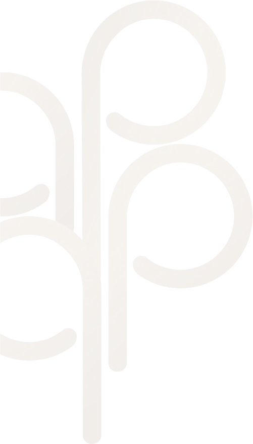 bg images